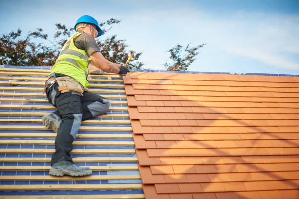 Best Tile Roofing Installation  in Dodson Branch, TN